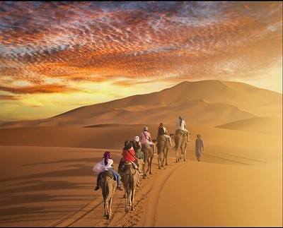 a group of people riding camels through the desert merzouga through marrakech desert tours