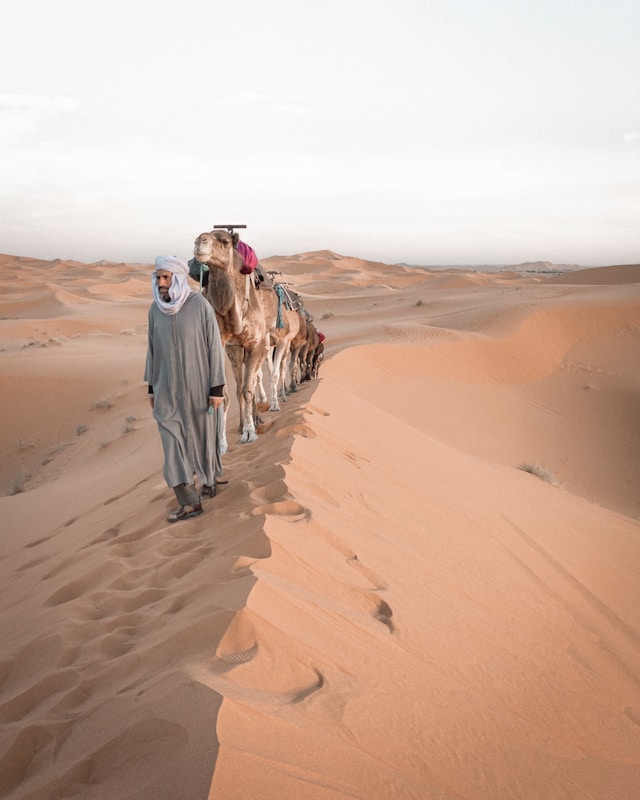 merzouga desert tour