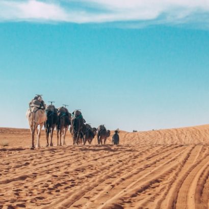 merzouga desert tour