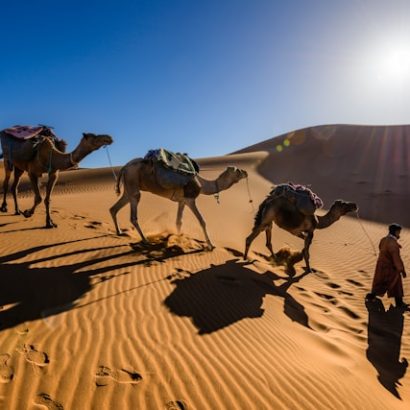 merzouga desert